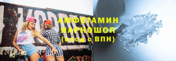 индика Богородск