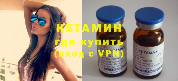 сатива Верея