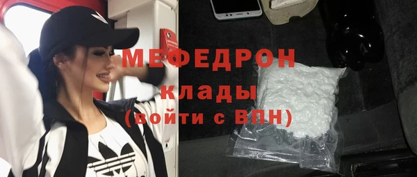 индика Богородск