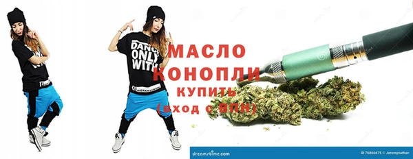 индика Богородск