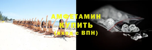 сатива Богданович