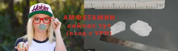 шишки Верхний Тагил