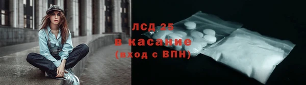 индика Богородск