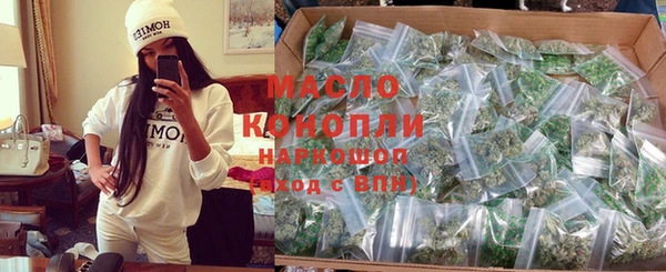 индика Богородск