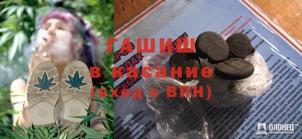 индика Богородск