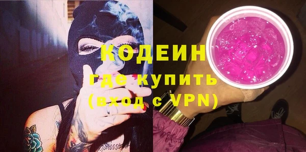 индика Богородск