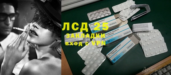 индика Богородск