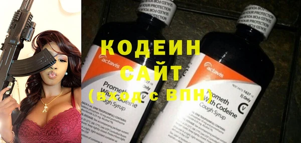 индика Богородск