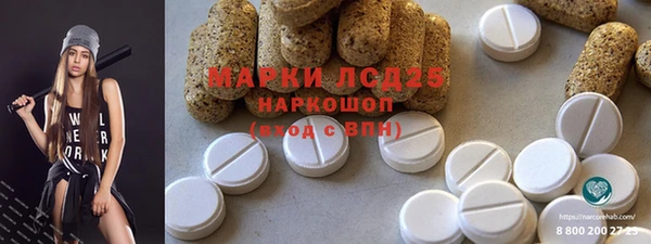 индика Богородск