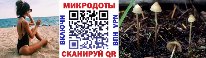 хочу   Вязники  Псилоцибиновые грибы мухоморы 