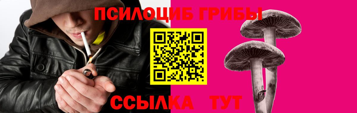 Вязники  Галлюциногенные грибы Cubensis  Вход с VPN 